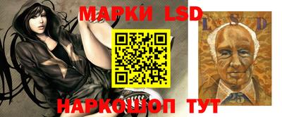 a pvp Нальчик