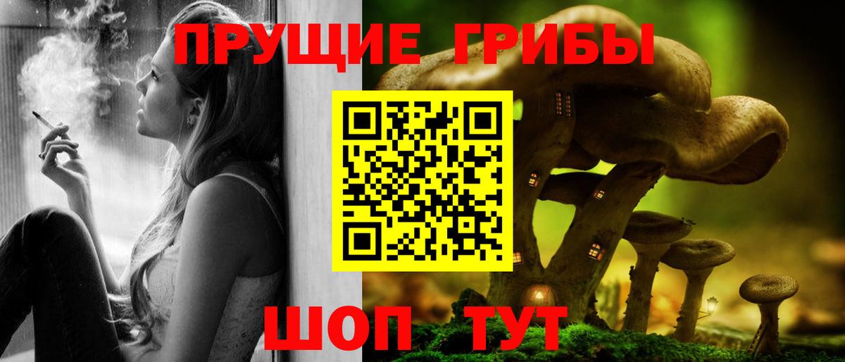 Псилоцибиновые грибы Psilocybine cubensis Туапсе